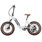 GOTRAX F5 500w 48v.-13.6aH. - ELECTRIC FATBIKE