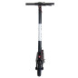 GOTRAX GXL V2 250w/36v5.2 Ah - Trottinette électrique pour adultes