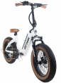 GOTRAX F5 500w 48v.-13.6aH. - ELECTRIC FATBIKE