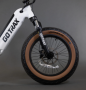 GOTRAX F5 500w 48v.-13.6aH. - ELECTRIC FATBIKE