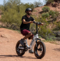 GOTRAX F5 500w 48v.-13.6aH. - ELECTRIC FATBIKE