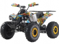 Electric atv for young - JUVENTUS 1000w 48v