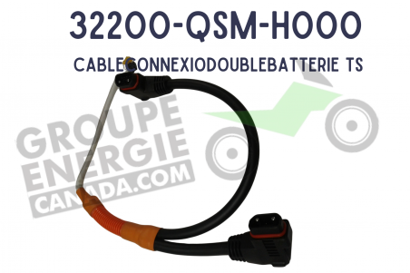3 Cable de connexion batterie double
