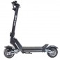 GOTRAX – GX1 2X 600W, 48V-15aH - OFF-ROAD ELECTRIC KICK SCOOTERS FOR ADULTS