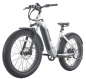 GOTRAX TUNDRA ARGENT 750w. 48v.-20Ah. / FATBIKE ÉLECTRIQUE