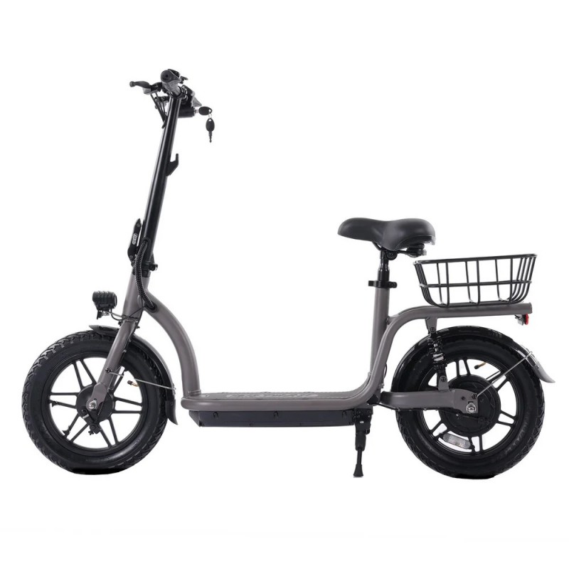 GOTRAX FLEX CAMPUS PRO 500W 48V-10Ah avec banc - Trottinette électrique