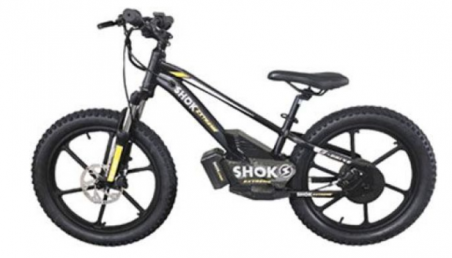 SHOK SX20 - 20" – 36V, 600W, 5.0Ah / Vélo d’Équilibre