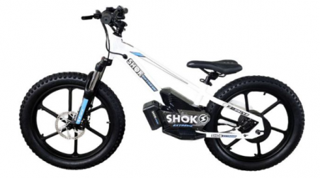 SHOK SX20 - 20" – 36V, 600W, 5.0Ah / Vélo d’Équilibre