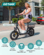 GOTRAX FLEX ULTRA 500W 48V-10Ah - Electric scooter