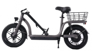 GOTRAX FLEX CAMPUS 350W 48V 10aH - Trottinette électrique