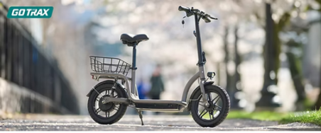 GOTRAX FLEX CAMPUS 350W 48V 10aH - Trottinette électrique