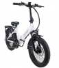 GOTRAX F2V2 500w 48v-10.4Ah / FOLDABLE ELECTRIC BIKES