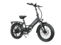 GOTRAX F2V2 500w 48v-10.4Ah / FOLDABLE ELECTRIC BIKES