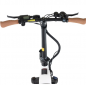 GOTRAX R6 500w 48v.-13.6aH. - ELECTRIC FATBIKE GOTRAX R6 500w 48v.-13.6aH. - ELECTRIC FATBIKE