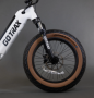 GOTRAX R6 500w 48v.-13.6aH. - ELECTRIC FATBIKE GOTRAX R6 500w 48v.-13.6aH. - ELECTRIC FATBIKE