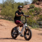 GOTRAX R6 500w 48v.-13.6aH. - FATBIKE ÉLECTRIQUE GOTRAX R6 500w 48v.-13.6aH. - FATBIKE ÉLECTRIQUE