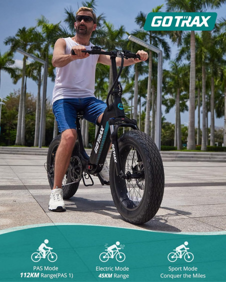 GOTRAX R6 500w 48v.-13.6aH. - ELECTRIC FATBIKE