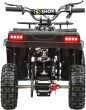 SHOK Quest - 48V, 1200W, 12Ah - Electric atv for kids