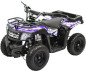 SHOK Quest Utility  - 48 V, 1200 W, 12 Ah - VTT électrique utilitaire pour enfants