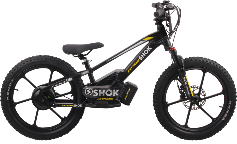 SHOK SX20 - 20" – 36V, 600W, 5.0Ah / Balance Bike SHOK SX20 - 20" – 36V, 600W, 5.0Ah / Balance Bike