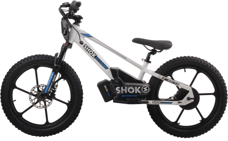 SHOK SX20 - 20" – 36V, 600W, 5.0Ah / Balance Bike