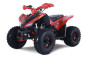 Denago TRAILHAWK 120cc EFI - 4 saisons atv Denago TRAILHAWK 120cc EFI - 4 saisons atv