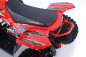 Denago TRAILHAWK 120cc EFI - 4 saisons atv Denago TRAILHAWK 120cc EFI - 4 saisons atv