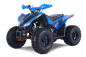 Denago TRAILHAWK 120cc EFI - Automatic atv Denago TRAILHAWK 120cc EFI - Automatic atv