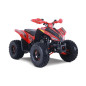 Denago TRAILHAWK 120cc EFI - Automatic atv Denago TRAILHAWK 120cc EFI - Automatic atv