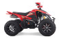Denago DAYTONA 250cc EFI - 4 vitesses - vtt pour adulte Denago DAYTONA 250cc EFI - 4 vitesses - vtt pour adulte
