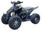 Denago DAYTONA 250cc EFI - 4 speed - atv for adult Denago DAYTONA 250cc EFI - 4 speed - atv for adult