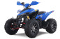 Denago DAYTONA 250cc EFI - 4 speed - atv 4 saisons Denago DAYTONA 250cc EFI - 4 speed - atv 4 saisons