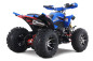 Denago DAYTONA 250cc EFI - 4 speed - atv 4 saisons Denago DAYTONA 250cc EFI - 4 speed - atv 4 saisons