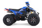 Denago DAYTONA 250cc EFI - 4 speed - atv 4 saisons Denago DAYTONA 250cc EFI - 4 speed - atv 4 saisons
