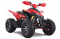 Denago DAYTONA 250cc EFI - 4 speed - atv 4 saisons Denago DAYTONA 250cc EFI - 4 speed - atv 4 saisons