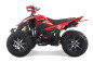 Denago DAYTONA 250cc EFI - 4 vitesses - vtt 4 saisons Denago DAYTONA 250cc EFI - 4 vitesses - vtt 4 saisons