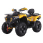 DENAGO - FREELANDER 300cc EFI 2x4 - Automatic atv DENAGO - FREELANDER 300cc EFI 2x4 - Automatic atv