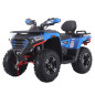 DENAGO - FREELANDER 300cc EFI 2x4 - automatique DENAGO - FREELANDER 300cc EFI 2x4 - automatique