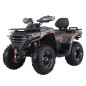 DENAGO - FREELANDER 300cc EFI 2x4 - Automatic atv DENAGO - FREELANDER 300cc EFI 2x4 - Automatic atv
