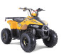 ATV TAO MOTORS THE MUDHAWK 125cc AUTOMATIC for children ATV TAO MOTORS THE MUDHAWK 125cc AUTOMATIC for children