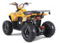 ATV TAO MOTORS THE MUDHAWK 125cc AUTOMATIC for children ATV TAO MOTORS THE MUDHAWK 125cc AUTOMATIC for children