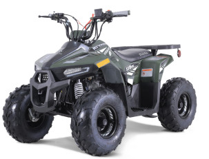 ATV TAO MOTORS THE MUDHAWK 125cc AUTOMATIC for children