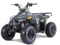 ATV TAO MOTORS THE MUDHAWK 125cc AUTOMATIC for children ATV TAO MOTORS THE MUDHAWK 125cc AUTOMATIC for children