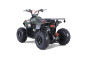 ATV TAO MOTORS THE MUDHAWK 125cc AUTOMATIC for children ATV TAO MOTORS THE MUDHAWK 125cc AUTOMATIC for children
