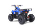 ATV TAO MOTORS THE MUDHAWK 125cc AUTOMATIC for children ATV TAO MOTORS THE MUDHAWK 125cc AUTOMATIC for children