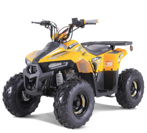MUDHAWK de Tao Motor - Automatique 110cc - VTT 4 Saisons