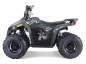 MUDHAWK de Tao Motor - Automatique 110cc - VTT 4 Saisons