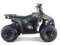 MUDHAWK de Tao Motor - Automatique 110cc - VTT 4 Saisons