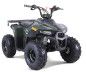 Atv TAO MOTORS the MUDHAWK 110cc - 4 Saison