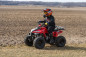 Atv TAO MOTORS the MUDHAWK 110cc - 4 Saison